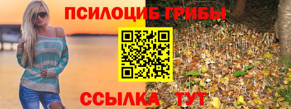 МЕТАМФЕТАМИН Братск